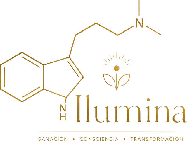 Ilumina · Sanación · Consciencia · Transformación