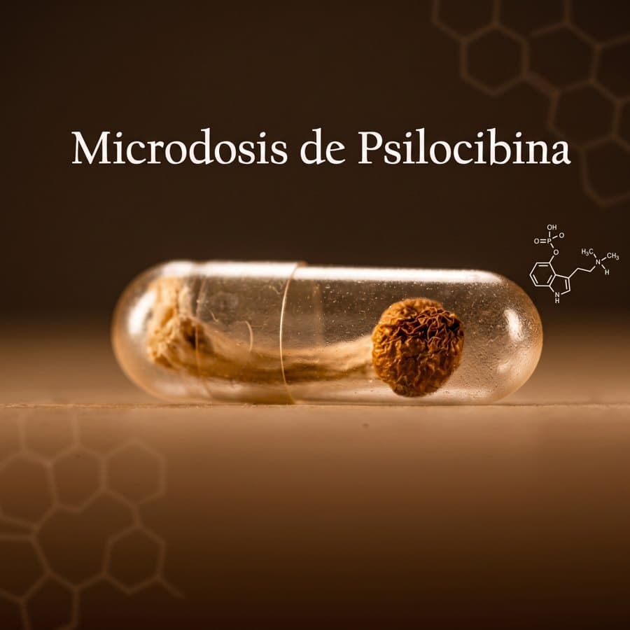 Microdosis de Psilocibina